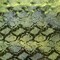 1 Yard 36" x 58/60" Jungle Cobra Foil Printed Stretch Velvet Fabric